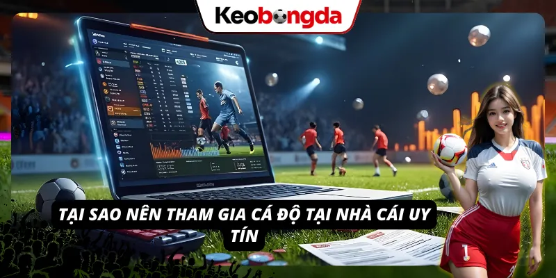 8LIVE - Nhà Cái Cá Cược Online Ăn Khách Nhất Năm 2026 3 lý do nên cá độ tại trang web
