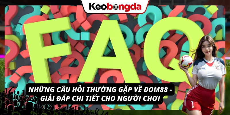 Tất cả những gì bạn cần biết về DOM88 - FAQ chi tiết