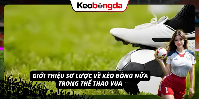 Thông tin cơ bản về kèo đồng nửa dành cho Newbie