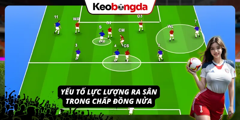 Tương quan lực lượng trước khi thực hiện soi kèo