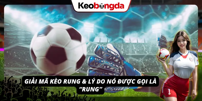 Giới thiệu về Kèo Rung và lý do tại sao nó được gọi là “rung”