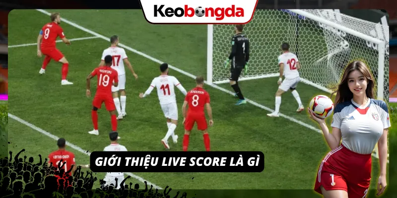Khái niệm live score và vai trò trong theo dõi trận đấu