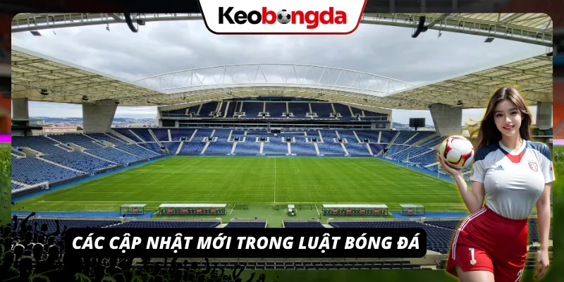 Màn hình VAR hỗ trợ trọng tài 