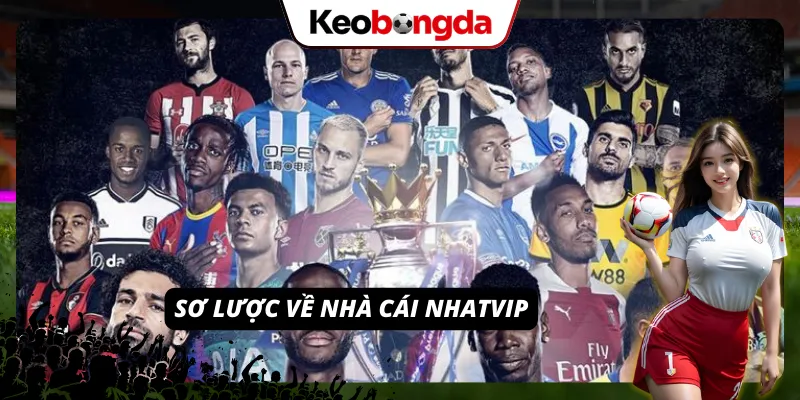 Tổng quan về nhà cái