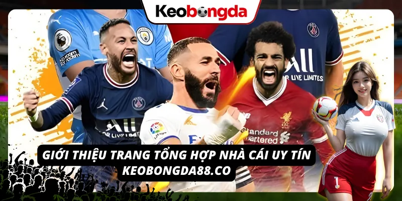 Keobongda88.co – nơi tổng hợp đánh giá nhà cái chuẩn