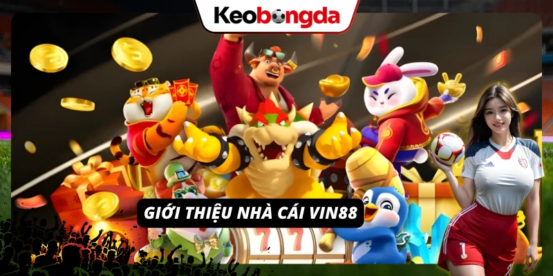 Giới thiệu tổng quan nhất về nhà cái hàng đầu thị trường VIN88