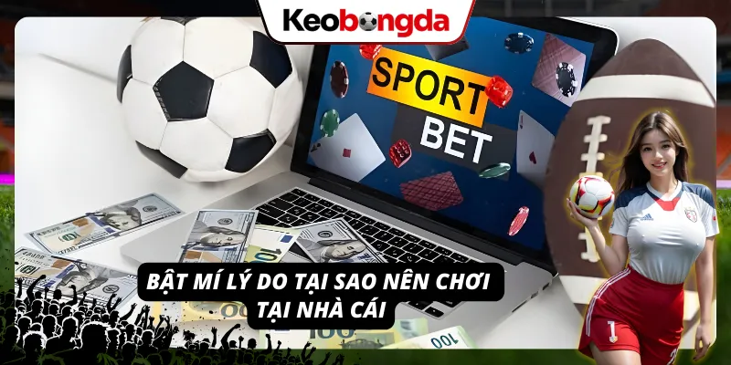 Lý do nên cá độ tại XO88