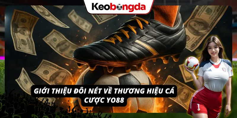 YO88 - Tải App, Nạp Rút Tiền Và Trải Nghiệm Cá Cược Mượt Mà Cùng khám phá một vài thông tin cơ bản về thương hiệu cá cược YO88.