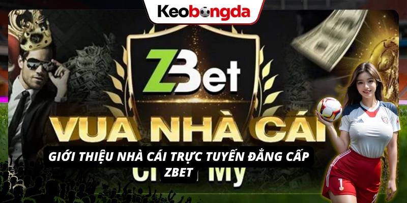 ZBET Thương Hiệu Giải Trí Trực Tuyến Vip Nhất 2026 Những thông tin cơ bản về thương hiệu ZBET
