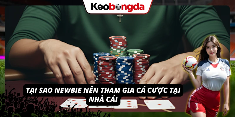 ZBET Thương Hiệu Giải Trí Trực Tuyến Vip Nhất 2026 Top các lý do Newbie nên tham gia giải trí tại nền tảng nhà cái