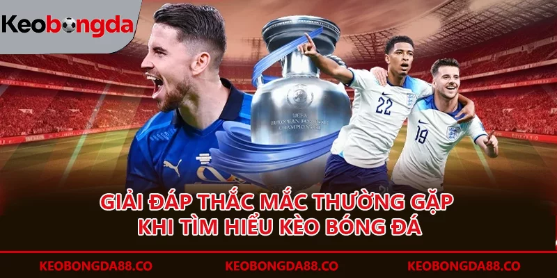 trang chủ Giải đáp thắc mắc thường gặp khi tìm hiểu kèo bóng đá